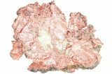 Natural, Native Copper Formation - Michigan #212369-1